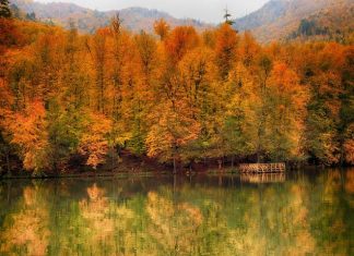 Haftanın Rotası Yedigöller