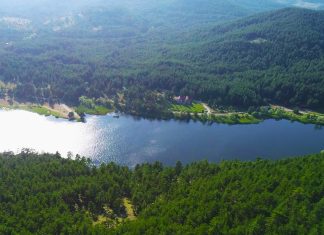 Ankara Piknik Alanları ve Güncel Fiyatları 2026 Çam Koru Tabiat Parkı