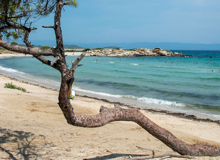 Halkidiki Karidi Plajı