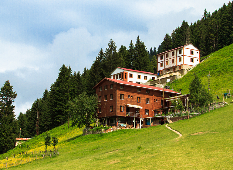 Yayla Tatili