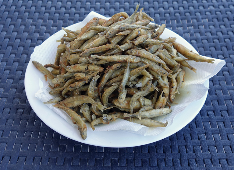 Atherina (Gümüş Balığı)